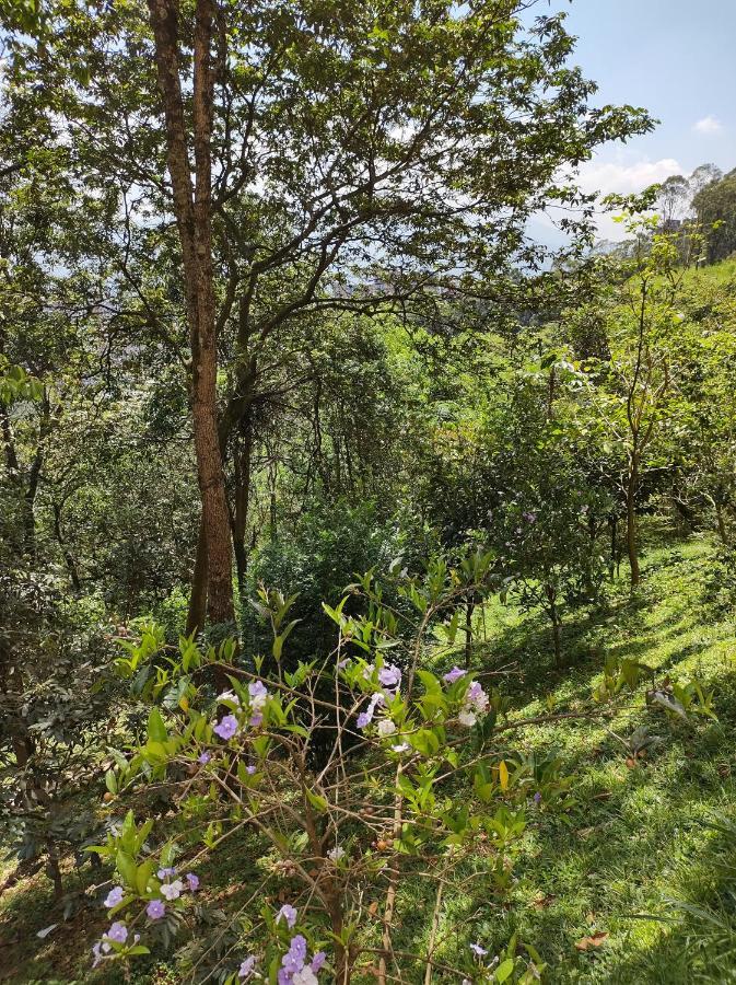 Hermoso Apartamento Con Vista A Todo Medellín Extérieur photo